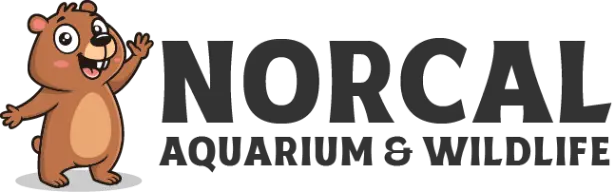 NorCal Aquarium & Wildlife